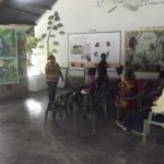 Sortie Bonobos