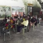 Sortie Bonobos