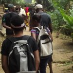 Sortie Bonobos