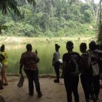 Sortie Bonobos