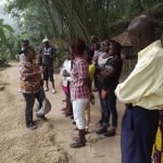 Sortie Bonobos