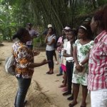 Sortie Bonobos
