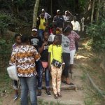 Sortie Bonobos