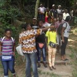 Sortie Bonobos