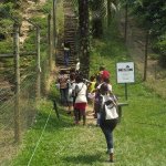 Sortie Bonobos