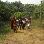 Sortie Bonobos