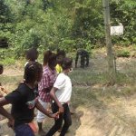 Sortie Bonobos