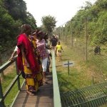 Sortie Bonobos