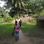 Sortie Bonobos