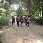 Sortie Bonobos