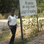Sortie Bonobos